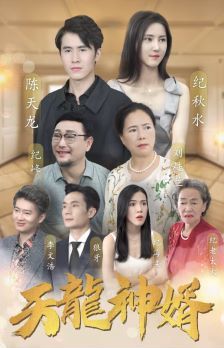 天龙神婿第41-60集